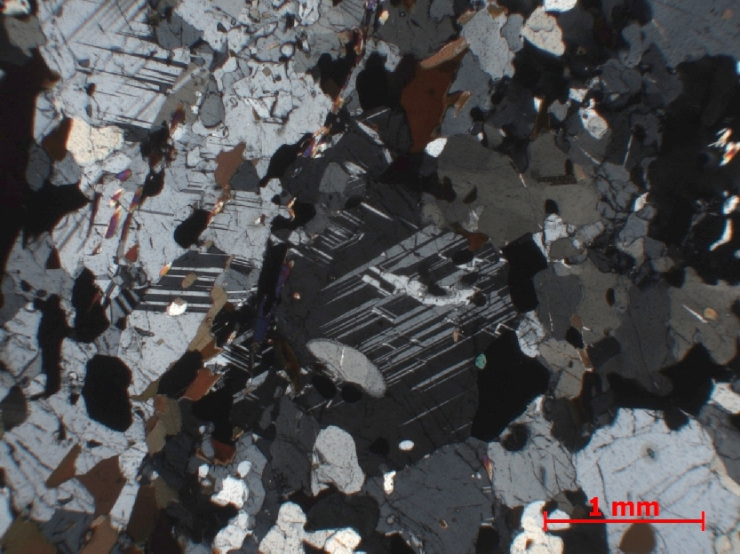Microscope Migmatite Gneiss à cordiérite Ihosy Carrière de Ihosy